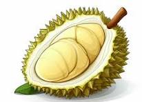 durian nyam nyam